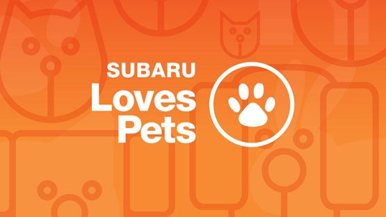 Fairway Subaru in Hazle Township PA