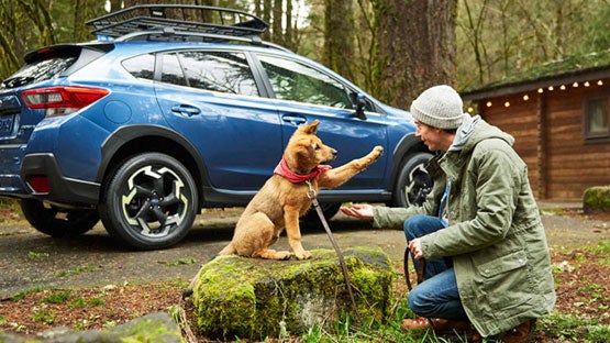 Fairway Subaru in Hazle Township PA